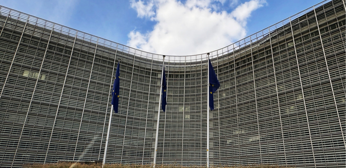 EU opens formal investigation into dumping of Chinese hardwood plywood; allegedly originating from Russia EU opens formal investigation into dumping of Chinese hardwood plywood; allegedly originating from Russia
